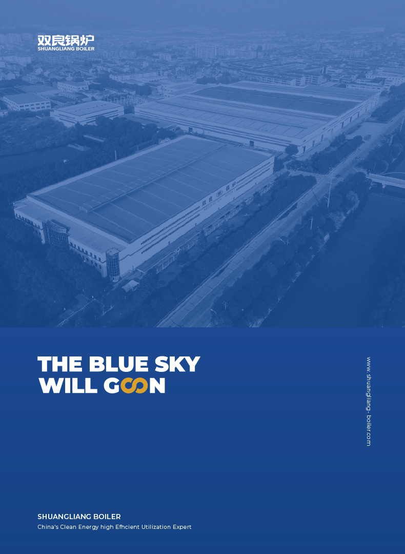 富彩vip锅炉英文画册